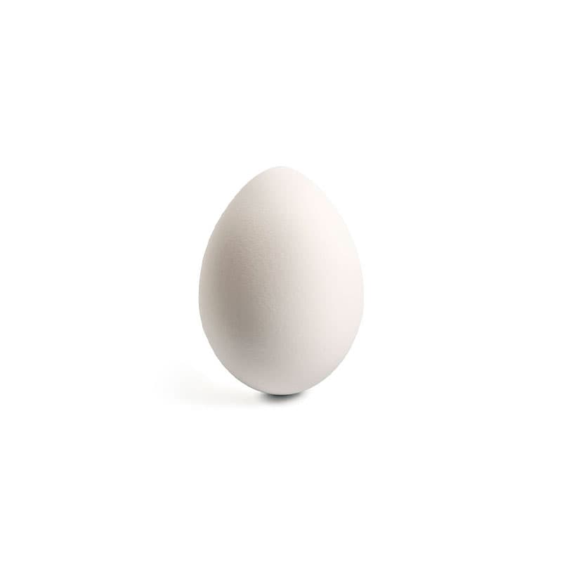 HUEVOS SUPER BLANCO